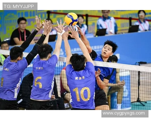 赛后分析：上海排球队与杭州排球队实力对比及比赛亮点回顾